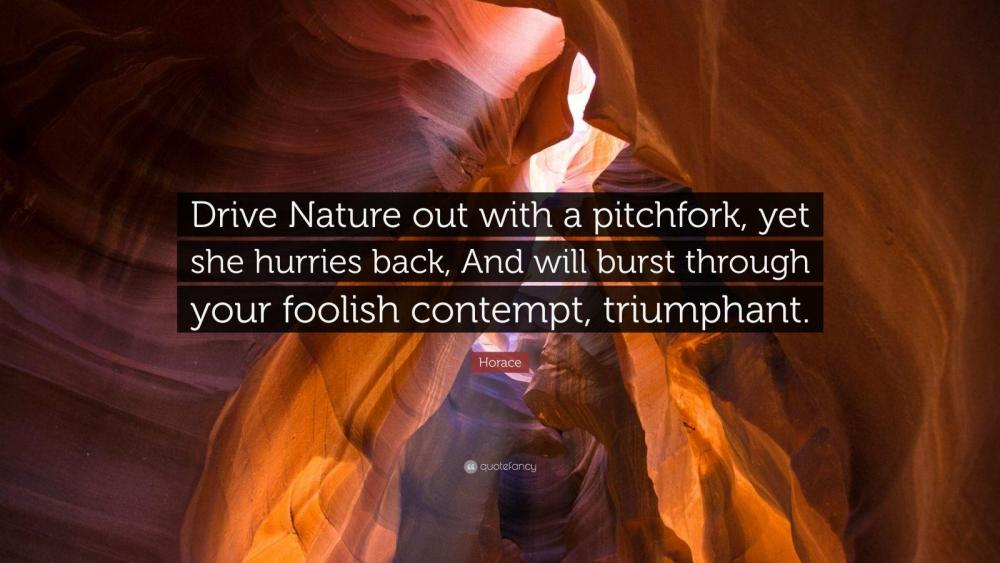 459363-Horace-Quote-Drive-Nature-out-with-a-pitchfork-yet-she-hurries.jpg